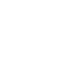 Icon face 05 facelift